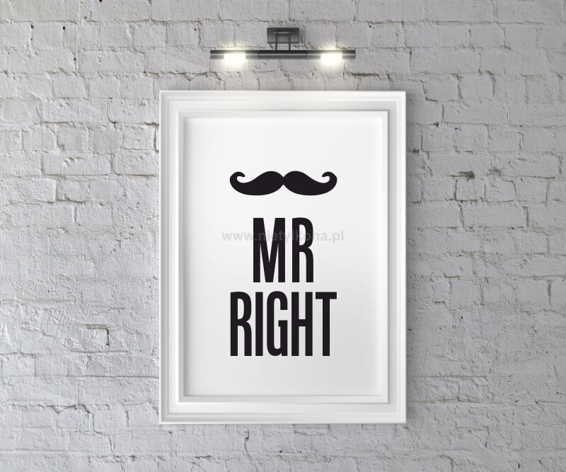 Plakat Mr Right