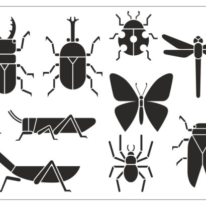 Naklejka Arkusz elementy - owady