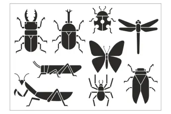 Naklejka Arkusz elementy - owady