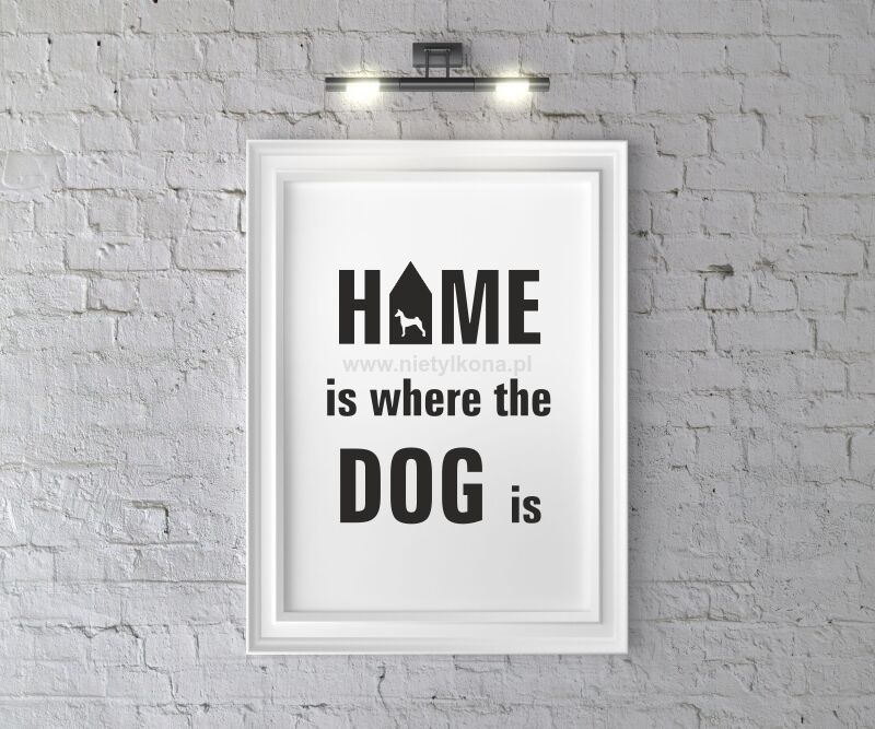 Plakat Home is where the dog is