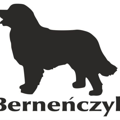 Naklejka Berneński Pies Pasterski