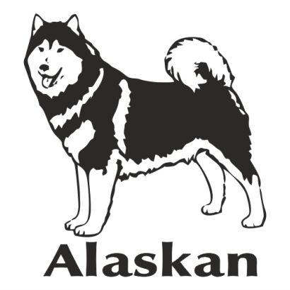 Naklejka Alaskan Malamute
