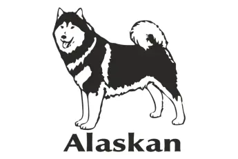 Naklejka Alaskan Malamute