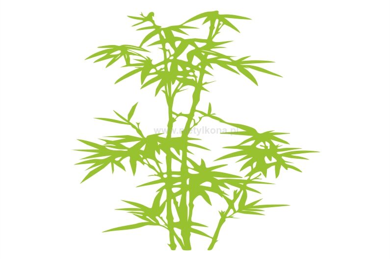 Naklejka Naklejka Bambusy 