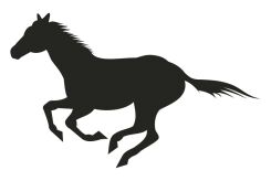 Naklejka Koń