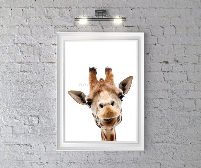 Plakat Z Żyrafa
